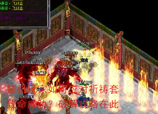 �һ�������Ӧ��������������в���ƽ⹥���ڴ�