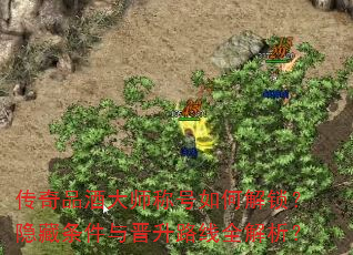 ����Ʒ�ƴ�ʦ�ƺ���ν������������������·��ȫ������