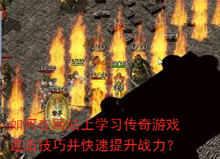 �������վ��ѧϰ������Ϸ�������ɲ���������ս����