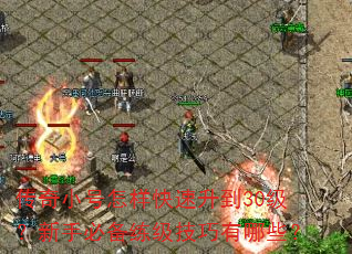 传奇小号怎样快速升到30级?新手必备练级技巧有哪些? 传奇小号怎样快速升到30级?新手必备练级技巧有哪些?