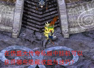 �ڷ�ʢ����˽���йһ����Ի����Щ���������뼼�ɣ�