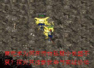 �׵���Ϊ���ڴ���˽���г�ʢ��˥��̽���似��������ʵս��ֵ