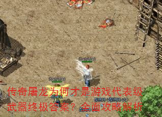 ��������Ϊ�β�����Ϸ�����������ռ��𰸣�ȫ�湥�Խ���