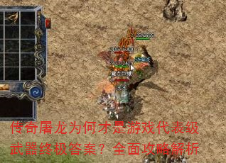 ��������Ϊ�β�����Ϸ�����������ռ��𰸣�ȫ�湥�Խ���