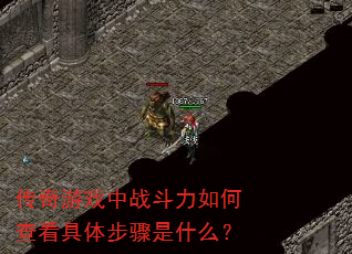 ������Ϸ��ս������β鿴���岽����ʲô��