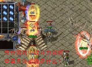 ������Ϸ��ս������β鿴���岽����ʲô��