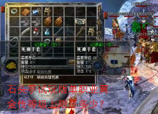 ʯͷͤ����浥ְҵ�ƽ𴫵ȼ������Ƕ��٣�