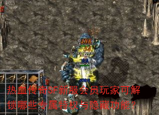 ��Ѫ����SF�·���Ա��ҿɽ�����Щר����Ȩ�����ع��ܣ�