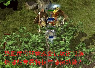 ��Ѫ����SF�·���Ա��ҿɽ�����Щר����Ȩ�����ع��ܣ�