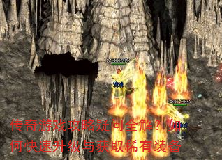 ������Ϸ��������ȫ�⣿��ο����������ȡϡ��װ��