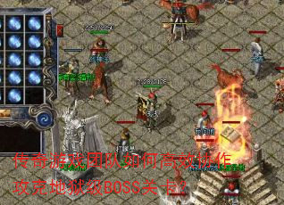 ������Ϸ�Ŷ���θ�ЧЭ�����˵�����BOSS�ؿ���