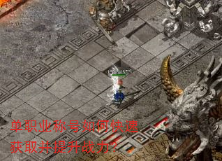 ��ְҵ�ƺ���ο��ٻ�ȡ������ս����