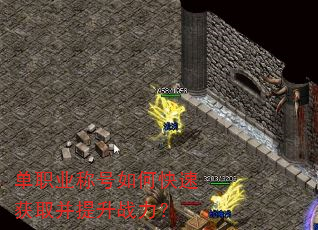 ��ְҵ�ƺ���ο��ٻ�ȡ������ս����