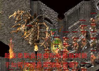 ���䵥ְҵ����˽���·���������ο��ٻ�ȡ����װ����