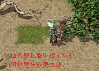 ��Ѫ����˽����սʿְҵ��δ��似�ܸ���Ч��