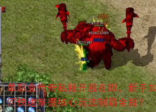 ��ְҵ����˽�������ڼ���������ο������պ����淨�ư�ȫ����