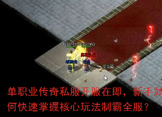 ��ְҵ����˽�������ڼ���������ο������պ����淨�ư�ȫ����