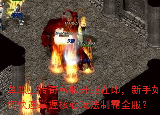 ��ְҵ����˽�������ڼ���������ο������պ����淨�ư�ȫ����