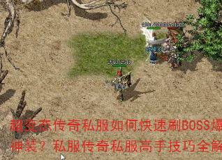 ����̬����˽����ο���ˢBOSS����װ��˽������˽�����ּ���ȫ����