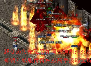 ����̬����˽����ο���ˢBOSS����װ��˽������˽�����ּ���ȫ����