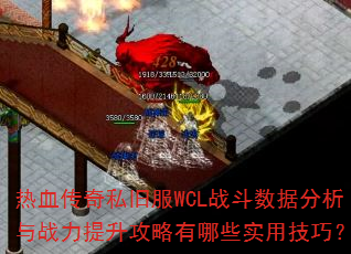 ��Ѫ����˽�ɷ�WCLս�����ݷ�����ս��������������Щʵ�ü��ɣ�