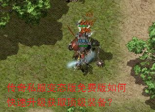 传奇私服变态版免费版如何快速升级获取顶级装备? 传奇私服变态版免费版如何快速升级获取顶级装备?