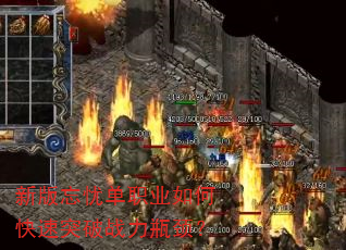 �°����ǵ�ְҵ��ο���ͻ��ս��ƿ����