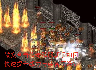 ΢��ϻ�����˽��������ο�������ս����װ���ȼ���