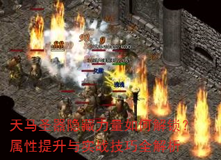 ����ʥ������������ν���������������ʵս����ȫ����