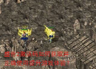 ʢ��2��������λ�ȡ����ȷʹ��������Ϸ���飿