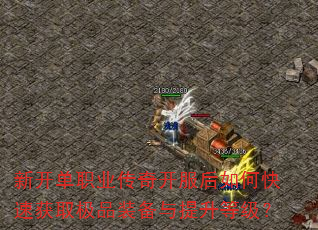 �¿���ְҵ���濪������ο��ٻ�ȡ��Ʒװ���������ȼ���