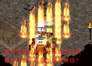 �¿���ְҵ���濪������ο��ٻ�ȡ��Ʒװ���������ȼ���