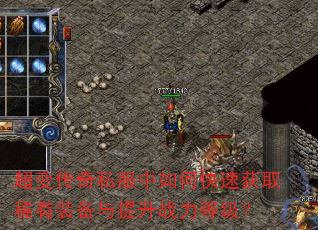 ���䴫��˽������ο��ٻ�ȡϡ��װ��������ս���ȼ���