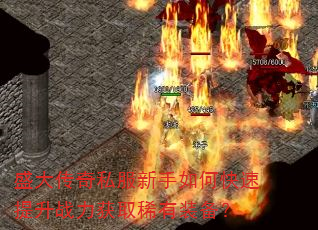 ʢ����˽��������ο�������ս����ȡϡ��װ����