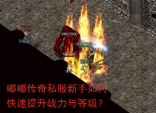 嘟嘟传奇私服新手如何快速提升战力与等级? 嘟嘟传奇私服新手如何快速提升战力与等级?