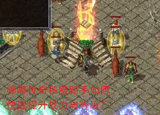 嘟嘟传奇私服新手如何快速提升战力与等级? 嘟嘟传奇私服新手如何快速提升战力与等级?
