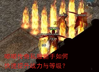 嘟嘟传奇私服新手如何快速提升战力与等级? 嘟嘟传奇私服新手如何快速提升战力与等级?