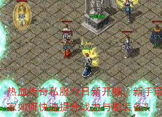 ��Ѫ����˽�������¿��������������ο�������ս����ˢװ����