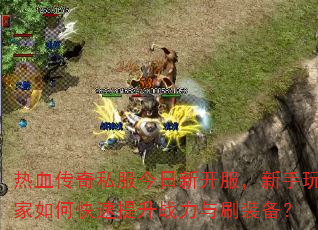 ��Ѫ����˽�������¿��������������ο�������ս����ˢװ����