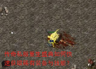 ����˽������ʢ����ο��ٻ�ȡϡ��װ���뼼�ܣ�