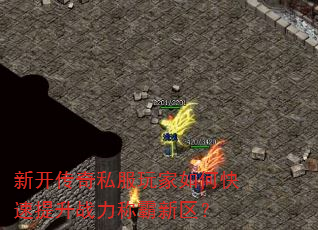 �¿�����˽�������ο�������ս���ư�������