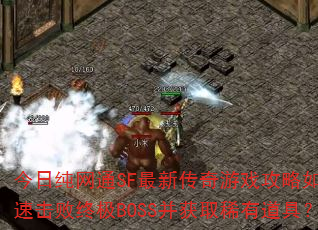 ���մ���ͨSF���´�����Ϸ������ο��ٻ����ռ�BOSS����ȡϡ�е��ߣ�