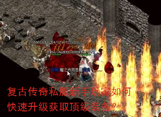 ���Ŵ���˽�����������ο���������ȡ����װ����