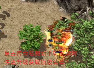 ���Ŵ���˽�����������ο���������ȡ����װ����