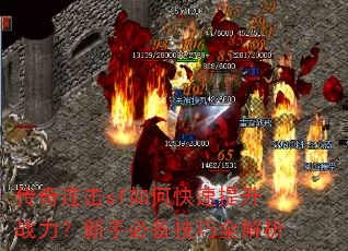 ��������sf��ο�������ս�������ֱر�����ȫ����