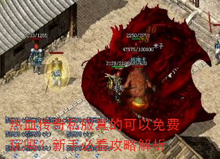 热血传奇私服真的可以免费玩吗?新手必看攻略解析 热血传奇私服真的可以免费玩吗?新手必看攻略解析