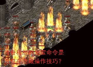 ����˽��ˢԪ�������Ƿ�������ز������ɣ�