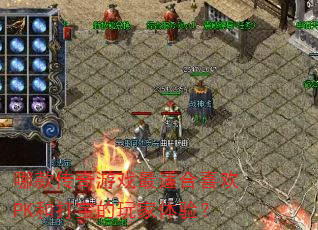 �Ŀ����Ϸ���ʺ�ϲ��PK�ʹ򱦵�������飿