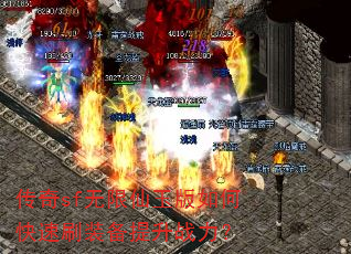 ����sf�����������ο���ˢװ������ս����