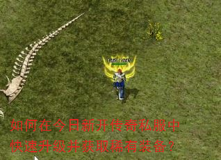 ����ڽ����¿�����˽���п�����������ȡϡ��װ����